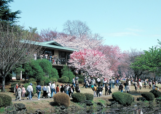 Shinjuku Gyoen National Garden /전철·도보로 약 22분