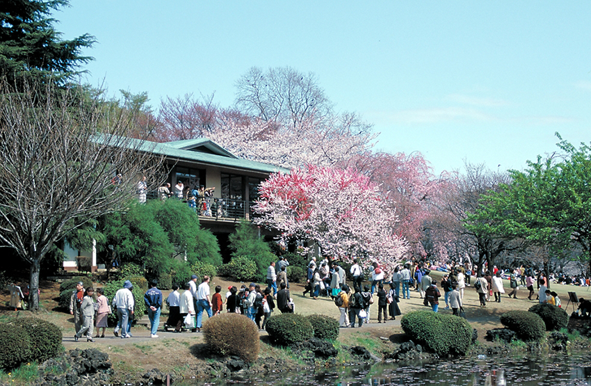 Shinjuku Gyoen National Garden