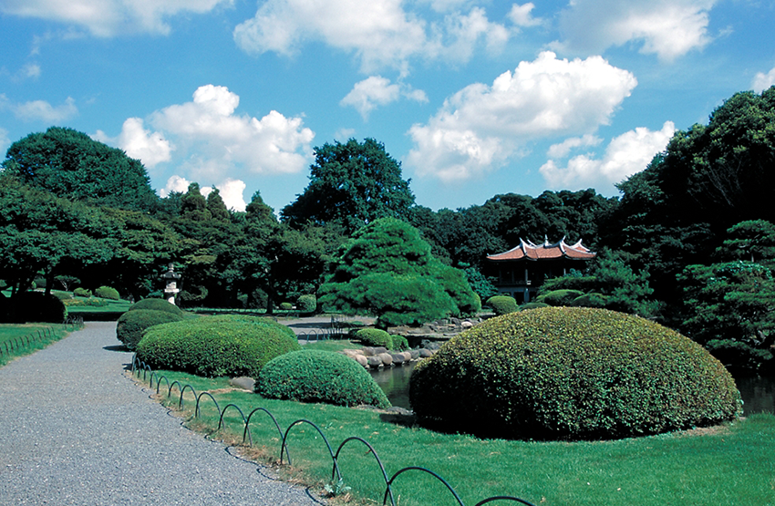 Shinjuku Gyoen National Garden