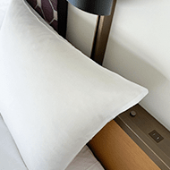 베쿠모토 콘센트/ 모더레이트 재패니즈 더블