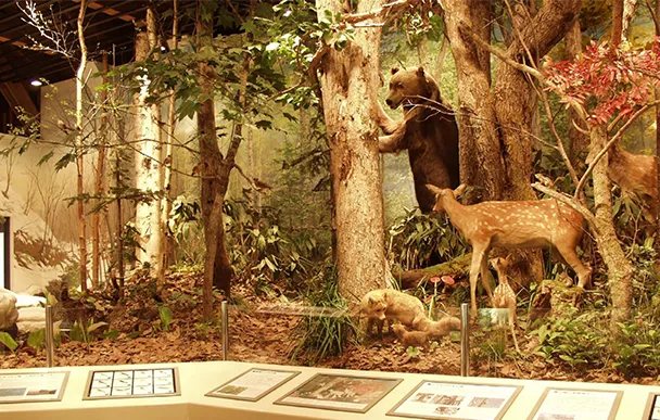 오타루시 종합 박물관 본관·운하관