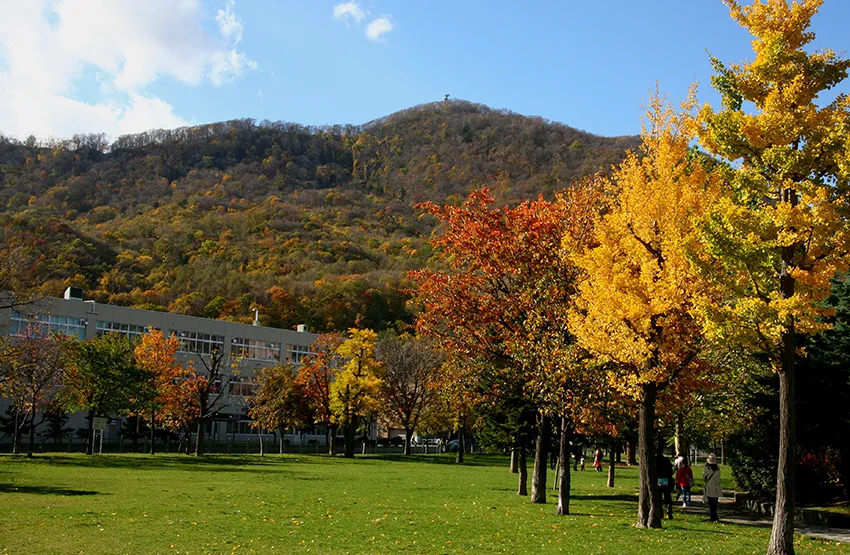 모이와 산 산 정상 전망대