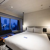 이그제큐티브 윈도우 더블