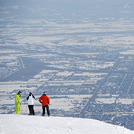 삿포로테이네 /차로 약 40분