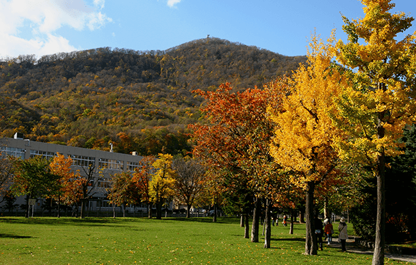 모이와 산 산 정상 전망대 2