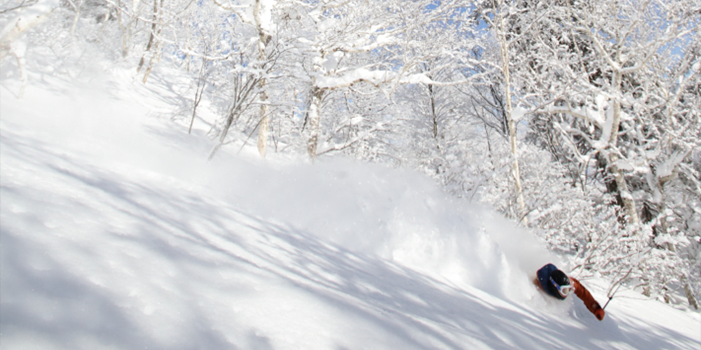 삿포로 국제 스키장